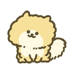 犬の毛と洗濯ラボ運営者